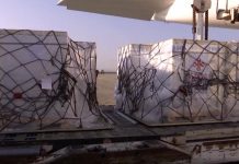 China-donated COVID-19 Vaccine Arrive in Ethiopia Ethiopia Receives 300,000 Doses of Sinopharm COVID-19 Vaccine from China