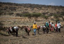 Canada urges citizens to leave Ethiopia as war intensifies