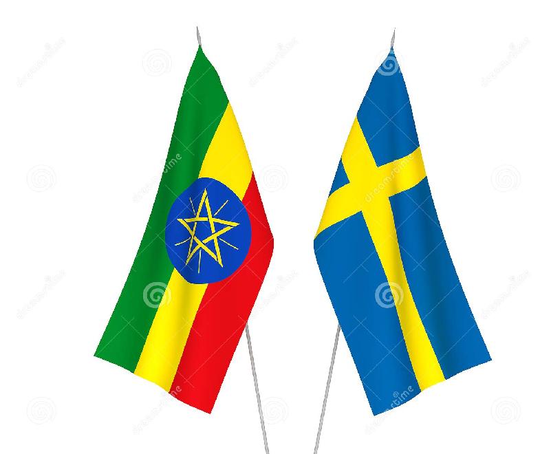 PM Abiy Confers with Swedish Counterpart PM Abiy Confers with Swedish Counterpart