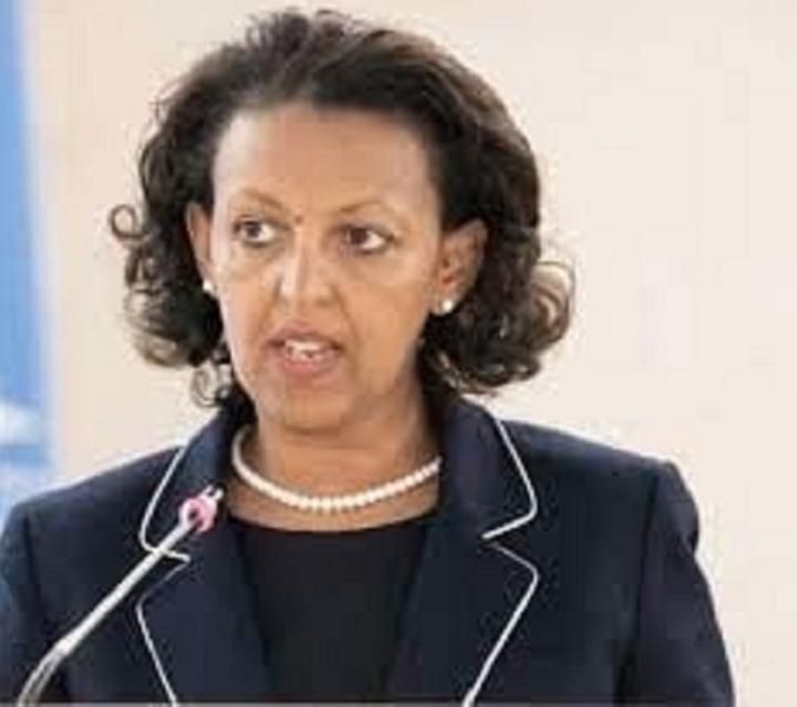 Time for Int’l Community to Stand with Elected Gov’t of Ethiopia, Support Reform Ambitions: Ambassador Hirut Time for Int’l Community to Stand with Elected Gov’t of Ethiopia, Support Reform Ambitions: Ambassador Hirut