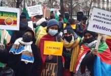 Ethiopians in France denounce ‘undue’ international pressure on Addis Ababa