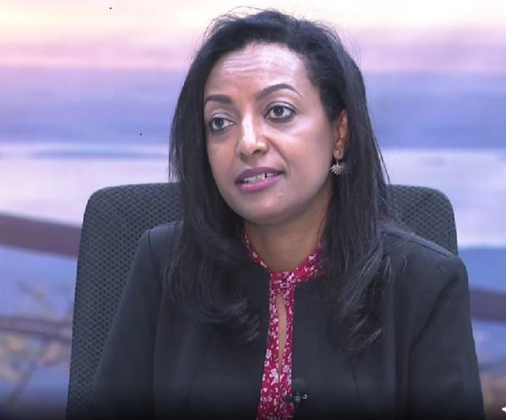 Voice for Ethiopia Ireland Task Force Calls on Irish Gov’t to Work for Interest of Ethiopians Voice for Ethiopia Ireland Task Force Calls on Irish Gov’t to Work for Interest of Ethiopians