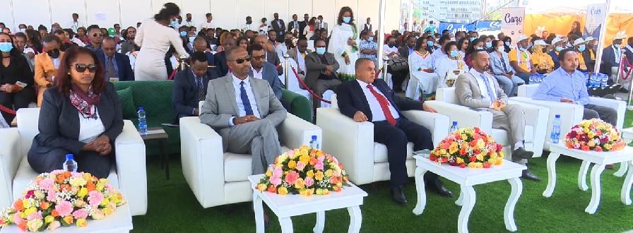 Ethiopian Diaspora Urged to Fight against Economic Pressure, Enhance Export