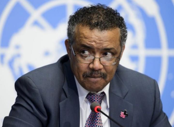 WHO Chief’s Indifference to Terrorist TPLF’s Wanton Destructions on Health Facilities is Deplorable