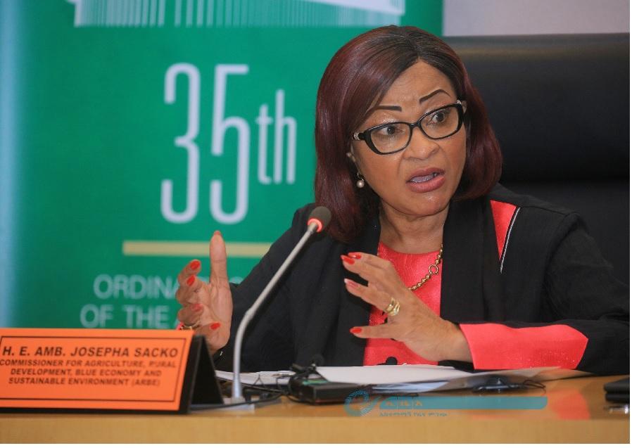 AU Agriculture Commissioner Calls for Transformation of Agriculture Systems of Africa AU Agriculture Commissioner Calls for Transformation of Agriculture Systems of Africa