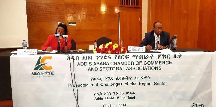 comprehensive-efforts-needed-to-boost-export-revenue-in-ethiopia-ethiopia