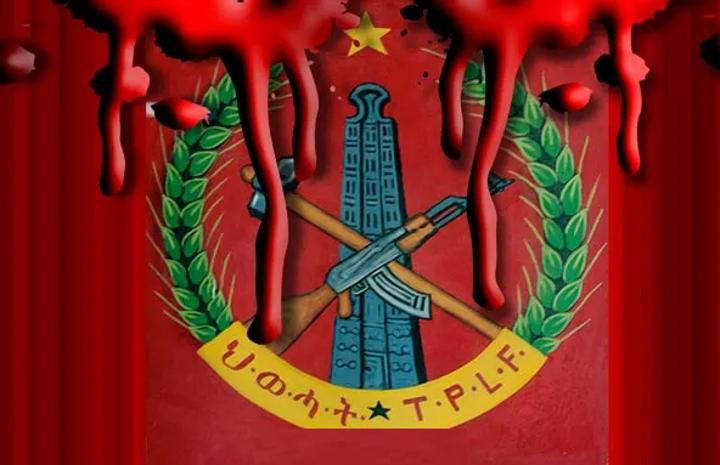 Terrorist TPLF’s Crimes Left Unheeded by the International Community Terrorist TPLF’s Crimes Left Unheeded by the International Community