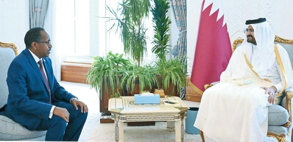Qatar Reaffirms Determination to Scale up Bilateral Relations with Ethiopia