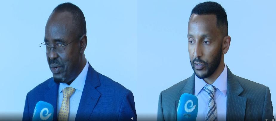 Ethiopia’s National Dialogue Vital for Horn: Somali, Eritrean Scholars
