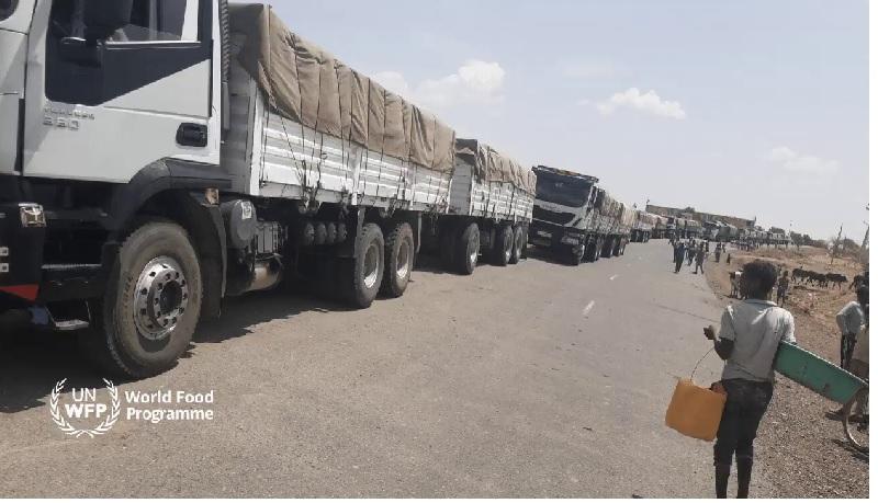 Some 16 Humanitarian Aid Trucks Arrive in Mekelle, 64 trucks on the Way: WFP