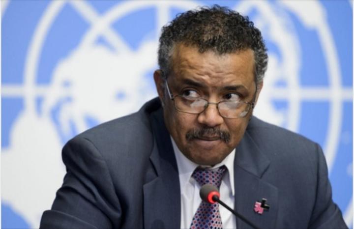 Health Professionals Censure WHO DG for Creating Warped Int’l View towards Ethiopia