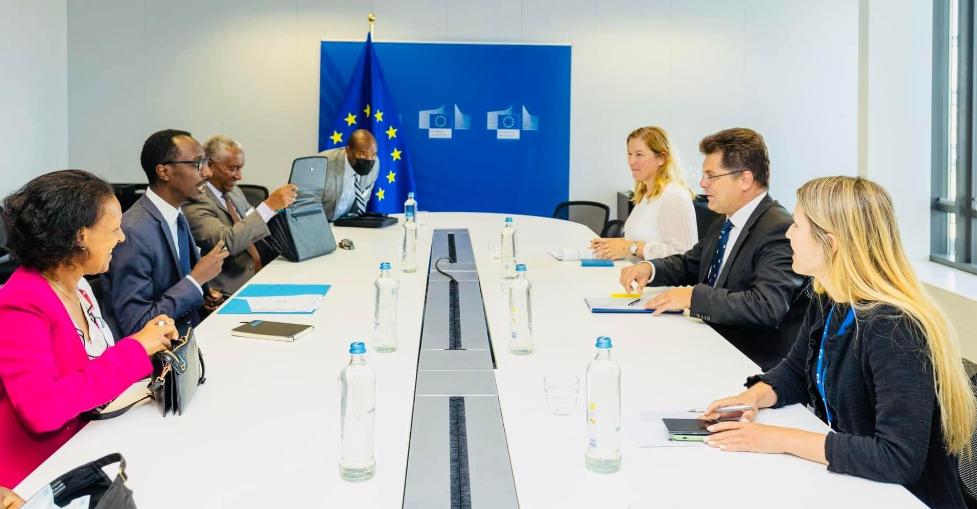 European Commission Appreciates Improving Situation in Northern Ethiopia