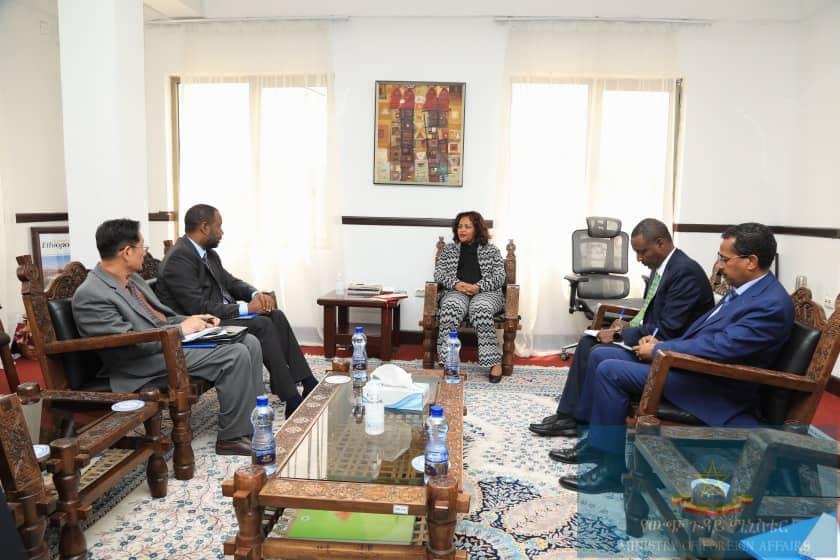FA State Minister, IOM Horn of Africa Director Discuss Cooperation on Migration Management