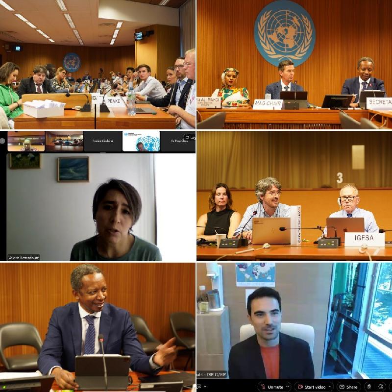 Ethiopia Assures Int’l Community to Make 17th Internet Governance Forum Successful Ethiopia Assures Int’l Community to Make 17th Internet Governance Forum Successful