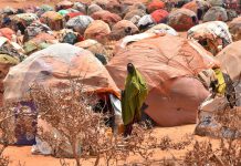 Alarming humanitarian situation in northern Ethiopia continues Alarming humanitarian situation in northern Ethiopia continues