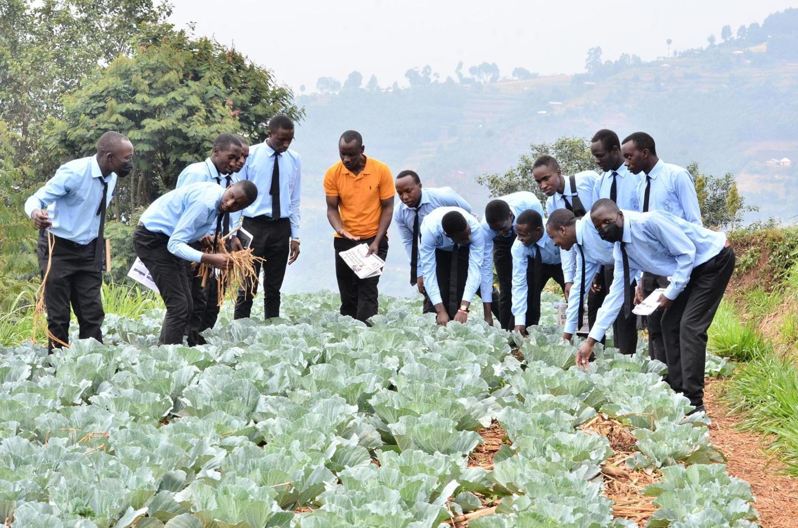 Scientists breed nutritious indigenous vegetables Scientists breed nutritious indigenous vegetables