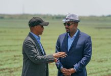 PM Abiy Says Somali Region Cluster Farming Output is Remarkable PM Abiy Says Somali Region Cluster Farming Output is Remarkable