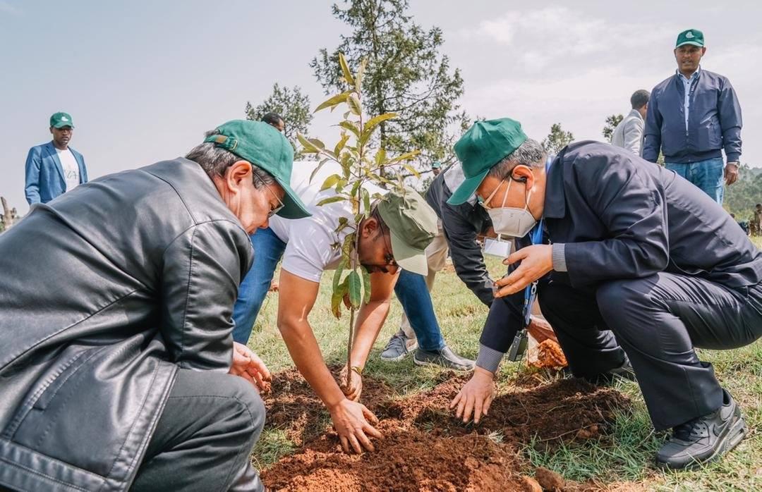 Hands that are Greening a Nation Hands that are Greening a Nation