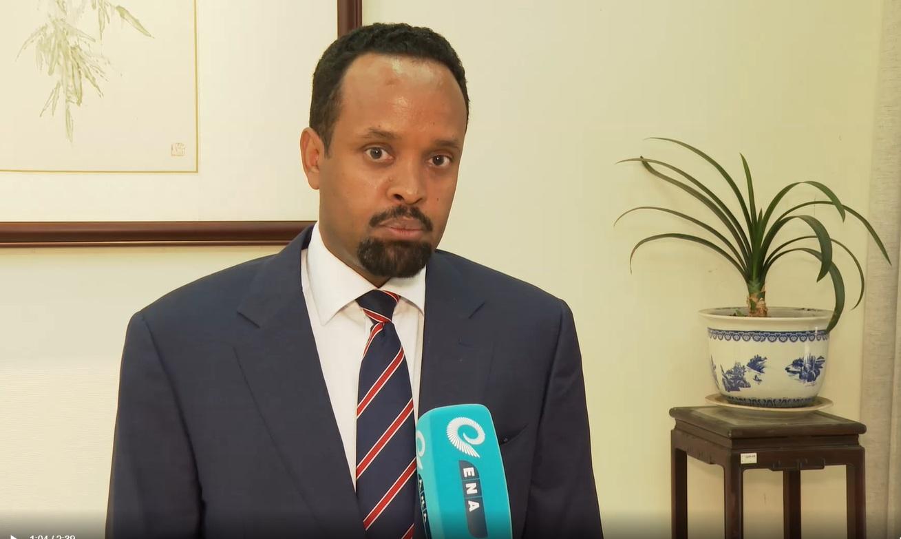 Opening Banking Sector to Foreign Investors Lures FDI, Advances Financial Inclusion: Ethiopian Finance Minister
