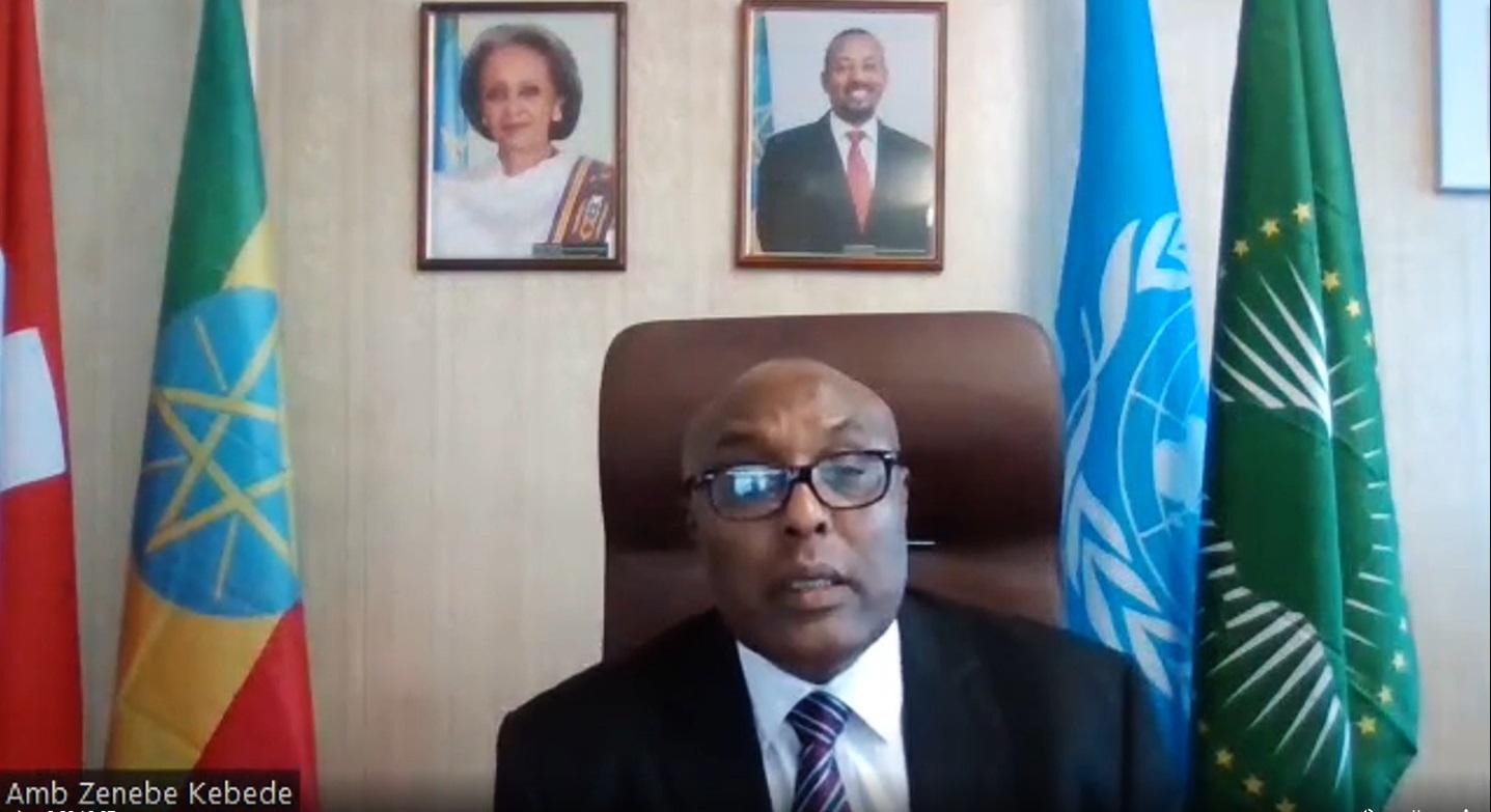 ICHREE Report More of Political Statement Than Human Rights Investigation: Permanent Representative of Ethiopia to UN in Geneva ICHREE Report More of Political Statement Than Human Rights Investigation: Permanent Representative of Ethiopia to UN in Geneva