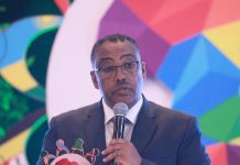 Institutional Cooperation Vital for Equitable, Reasonable Utilization of Nile River: FM Demeke Institutional Cooperation Vital for Equitable, Reasonable Utilization of Nile River: FM Demeke
