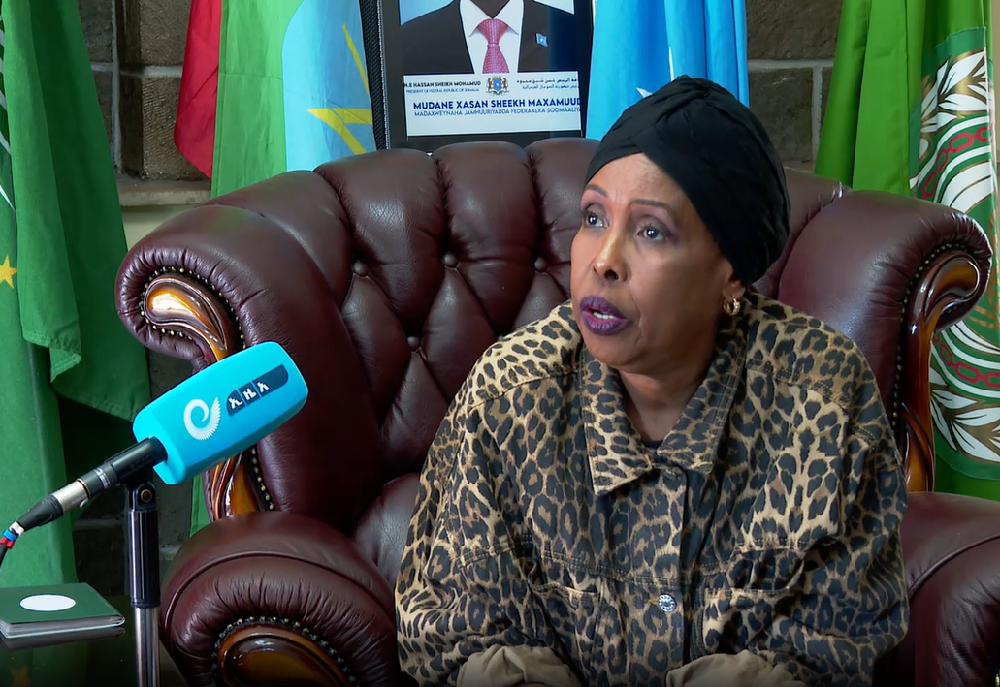 Somalia’s President Visit to Ethiopia Fulfilment of Strong Ties Between the Two Countries: Deputy Head of Mission Hassan