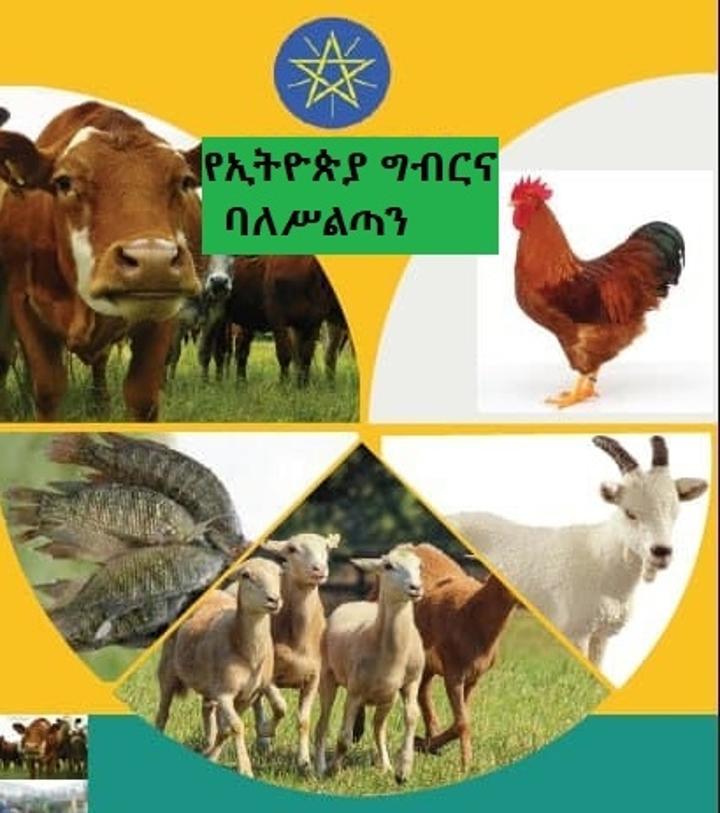 pdf-ethiopian-agriculture-a-dynamic-geographic-perspective