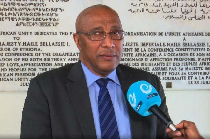 Nation to Continue with Unwavering Position of Pan-Africanism: Foreign Affairs State Minister Nation to Continue with Unwavering Position of Pan-Africanism: Foreign Affairs State Minister