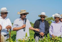 PM Abiy Says Gov’t Working to Exploit Natural Resource Potentials, Ensure All-round Dev’t of Ethiopia PM Abiy Says Gov’t Working to Exploit Natural Resource Potentials, Ensure All-round Dev’t of Ethiopia