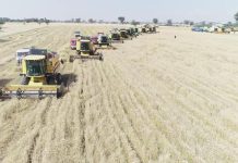 Agricultural Modernization, Diversification for Economic Development Agricultural Modernization, Diversification for Economic Development