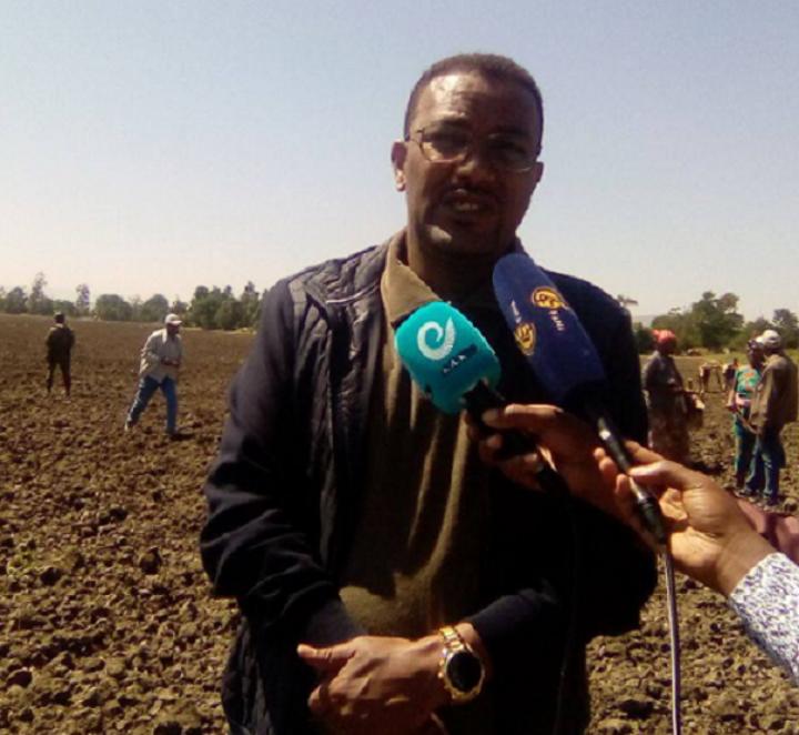 Some 200,000 Hectares of Land Covered with Wheat Seed in Oromia Region, Regional Vice President Says Some 200,000 Hectares of Land Covered with Wheat Seed in Oromia Region, Regional Vice President Says