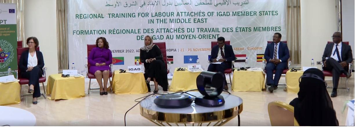 Enhancing Capacity of Labour Attachés of Horn Nations in Middle East Crucial to Protect Migrant Workers: IGAD Enhancing Capacity of Labour Attachés of Horn Nations in Middle East Crucial to Protect Migrant Workers: IGAD