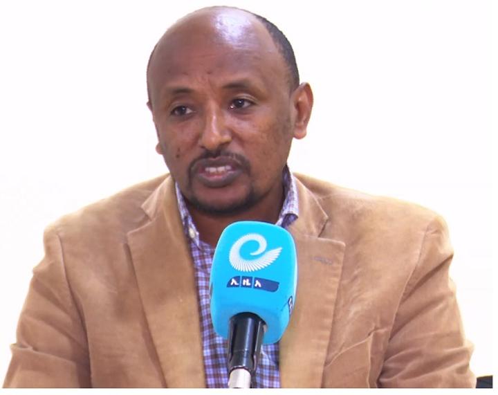 More Than 400,000 Hectares of Land Covered with Wheat Seeds Through Irrigation More Than 400,000 Hectares of Land Covered with Wheat Seeds Through Irrigation