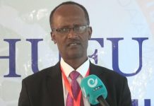 GERD Must be considered as Symbol of Regional Economic Integration: Expert GERD Must be considered as Symbol of Regional Economic Integration: Expert