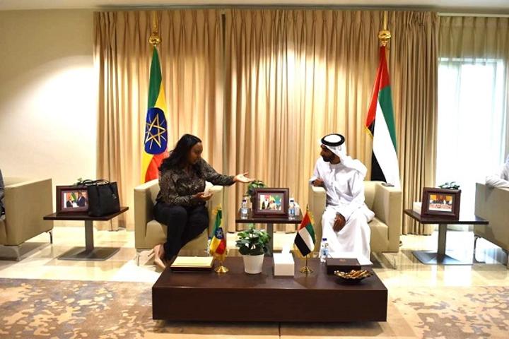 EIC, UAE Discuss On Ways of Fostering Investment Ties