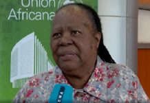 Peace Process In Ethiopia Very Important Lesson, Marker Not Just For Africa, But For Entire Globe: South African Foreign Minister Peace Process In Ethiopia Very Important Lesson, Marker Not Just For Africa, But For Entire Globe: South African Foreign Minister