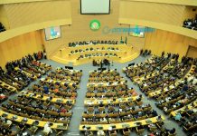 PM Abiy Says Africa’s Leadership Role Needs to Be Recognized, Institutionalized PM Abiy Says Africa’s Leadership Role Needs to Be Recognized, Institutionalized