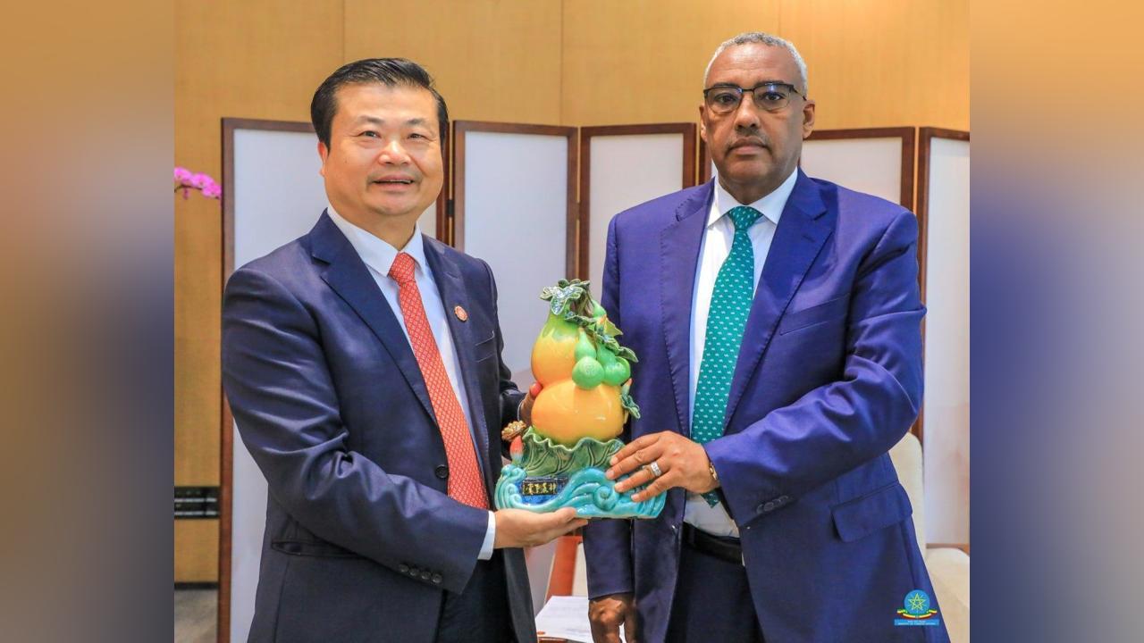 DPM & FM Demeke Calls on Chinese Companies to Invest in Ethiopia