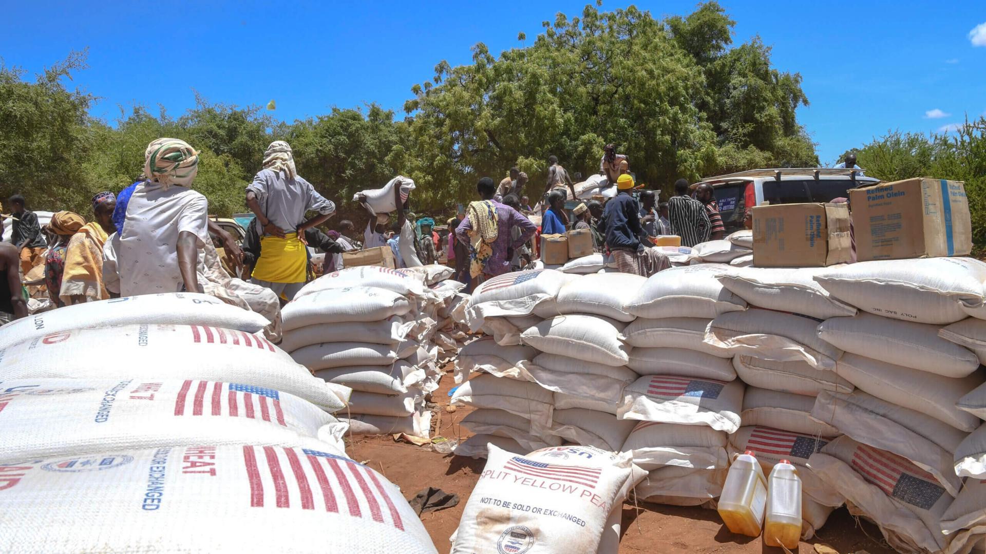 News: Tigray publishes prelim finding of food aid diversion prob, implicates Eritrea, fed. gov’t and Tigrayan entities News: Tigray publishes prelim finding of food aid diversion prob, implicates Eritrea, fed. gov’t and Tigrayan entities