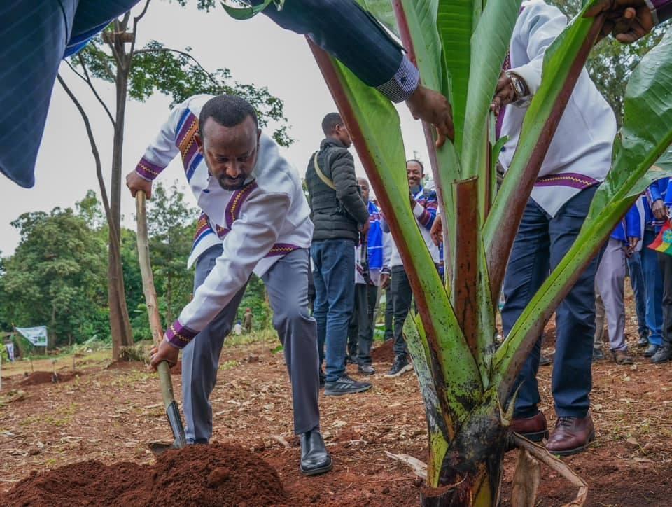 PM Abiy Launches Green Legacy Initiative In Gedeo Zone PM Abiy Launches Green Legacy Initiative In Gedeo Zone