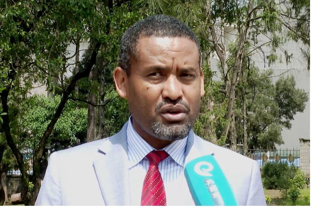 nation-s-forest-coverage-sees-big-leap-due-to-massive-tree-seedlings