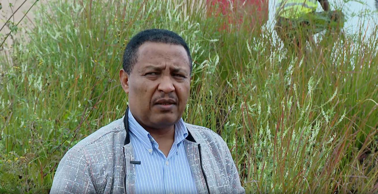 Massive Tree Seedlings Crucial to Boosting Economy, Minimize Impact of Climate Change Massive Tree Seedlings Crucial to Boosting Economy, Minimize Impact of Climate Change