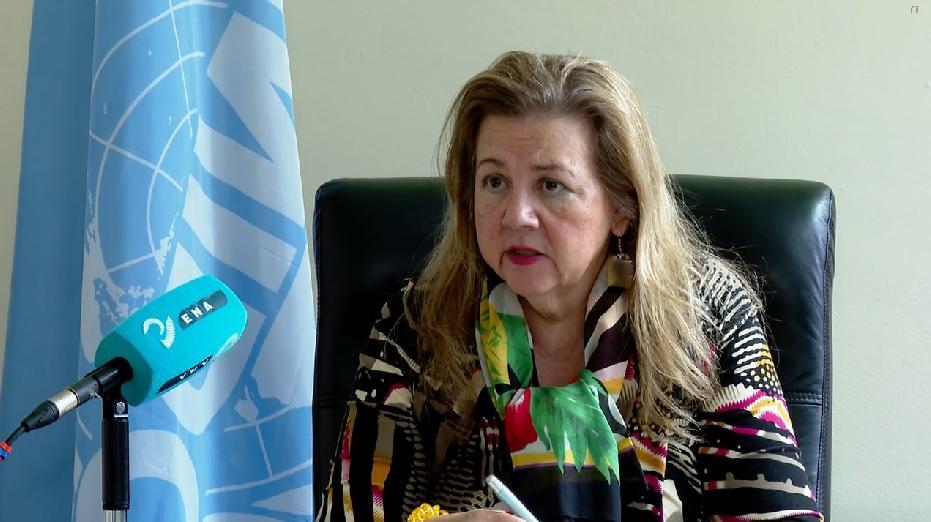 UNIDO Pledges to Assist Implementation of Second Home-Grown Economic Reform: Organization Representative in Ethiopia UNIDO Pledges to Assist Implementation of Second Home-Grown Economic Reform: Organization Representative in Ethiopia