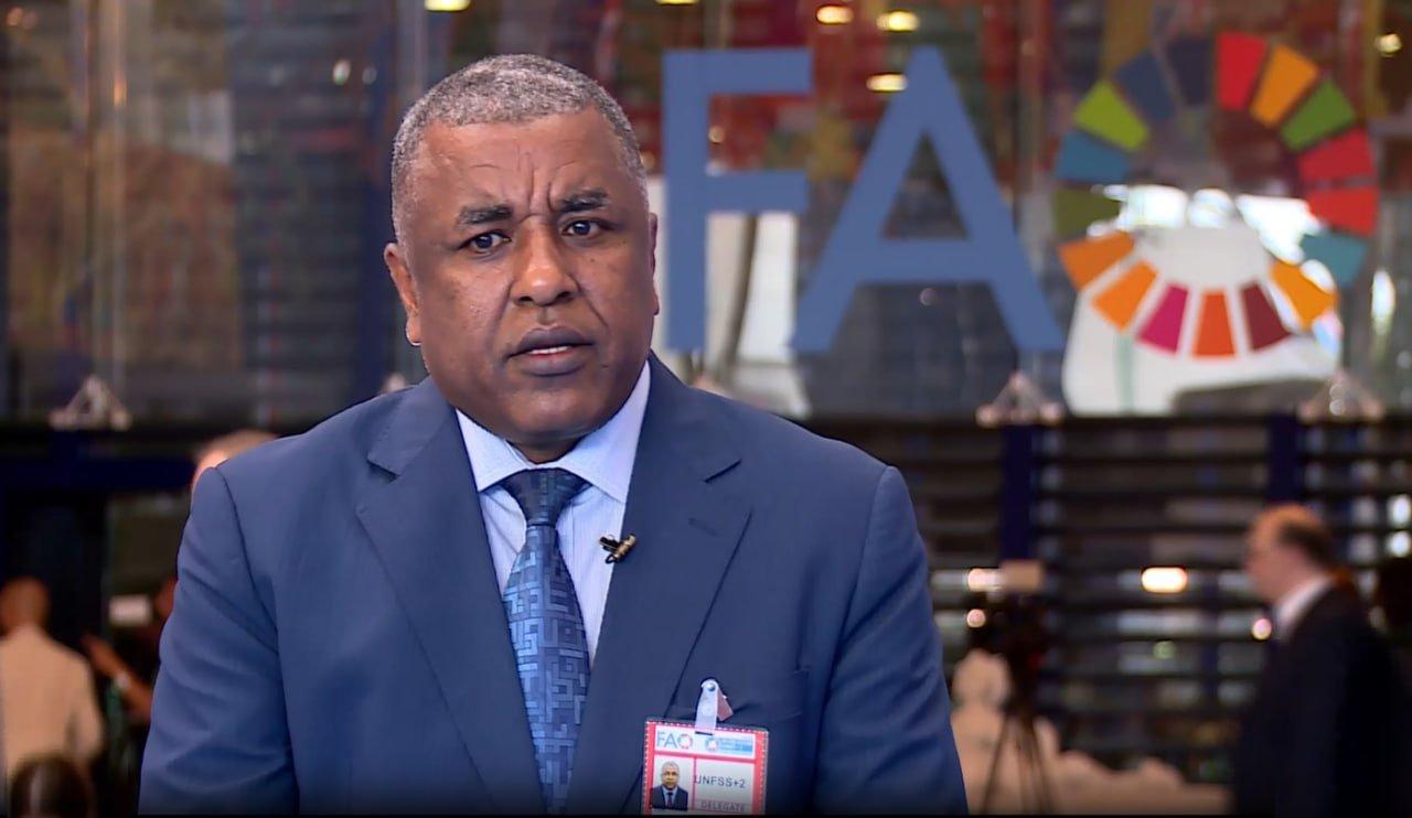 Ethiopia Working to Fully Implement Its Food System Transformation Road Map: Agriculture Minister Ethiopia Working to Fully Implement Its Food System Transformation Road Map: Agriculture Minister