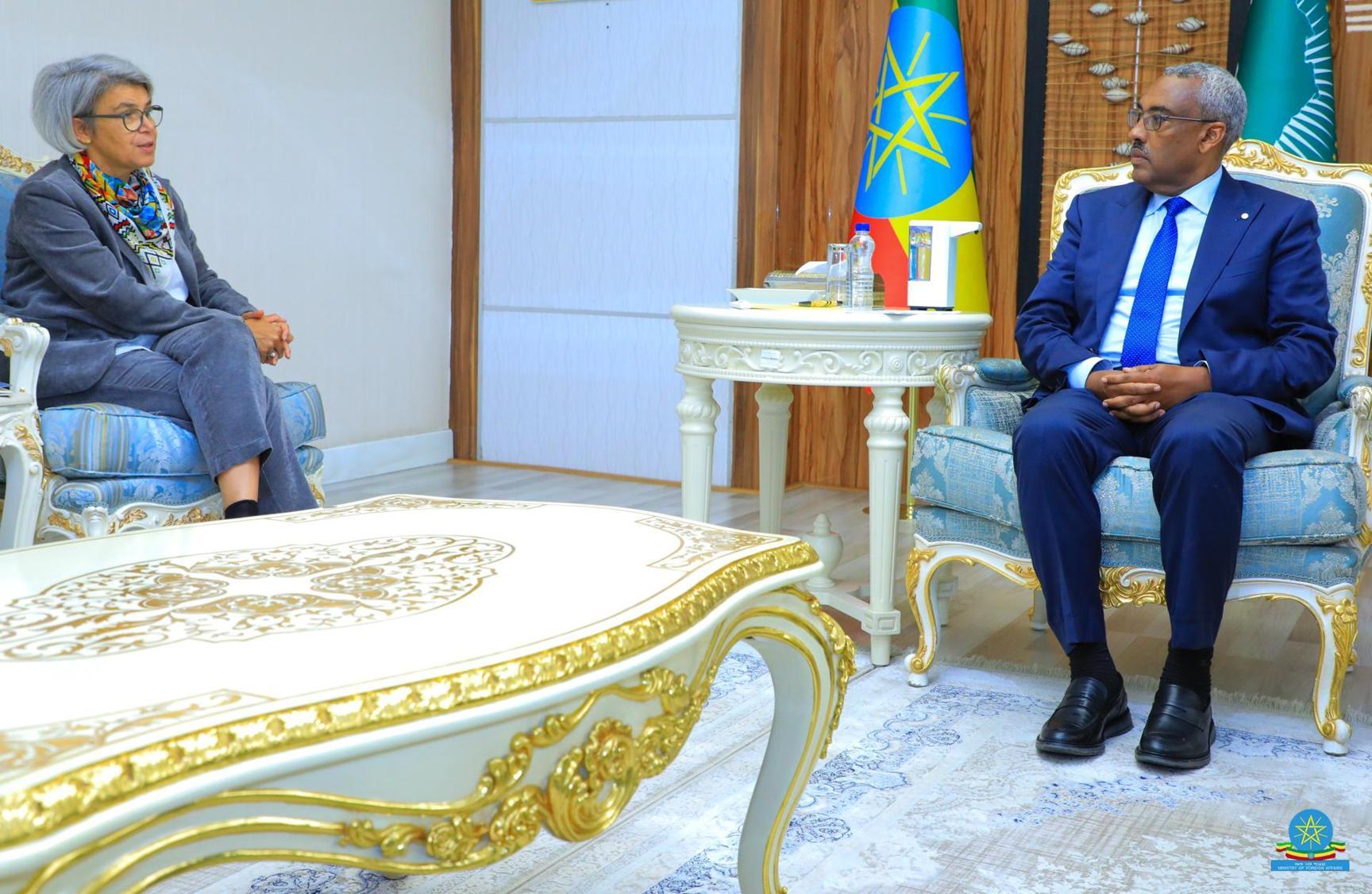 DPM & Foreign Minister Demeke Holds Talks with EU Special Envoy for the Horn of Africa DPM & Foreign Minister Demeke Holds Talks with EU Special Envoy for the Horn of Africa