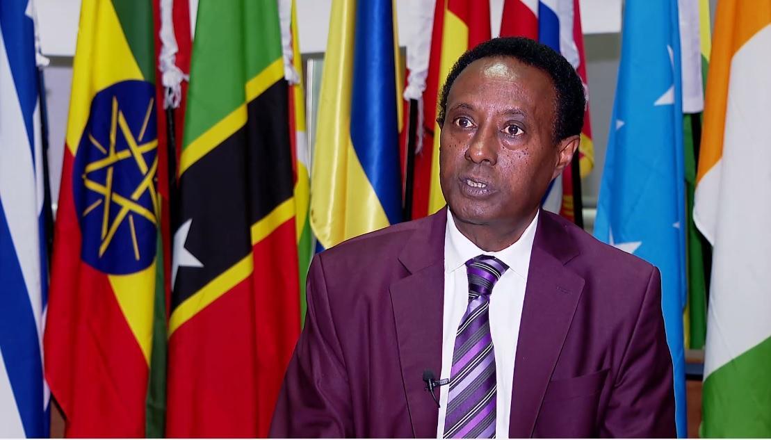 Ethiopia Working for Alternative Ports, Access to Sea: African Affairs Director at MoFA Ethiopia Working for Alternative Ports, Access to Sea: African Affairs Director at MoFA
