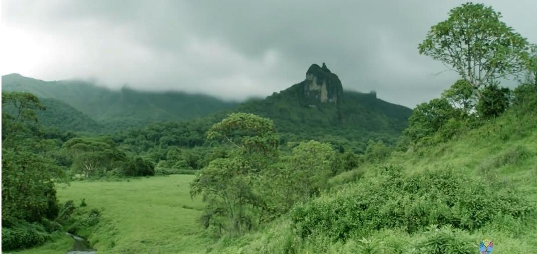 UNESCO Registers Bale Mountains National Park as World Natural ...