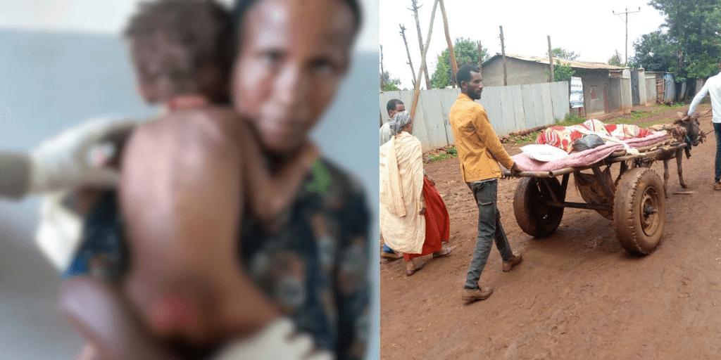 News: Dozens die of malaria in conflict-ridden west Wollega zone, Oromia as hunger takes toll on civilians News: Dozens die of malaria in conflict-ridden west Wollega zone, Oromia as hunger takes toll on civilians