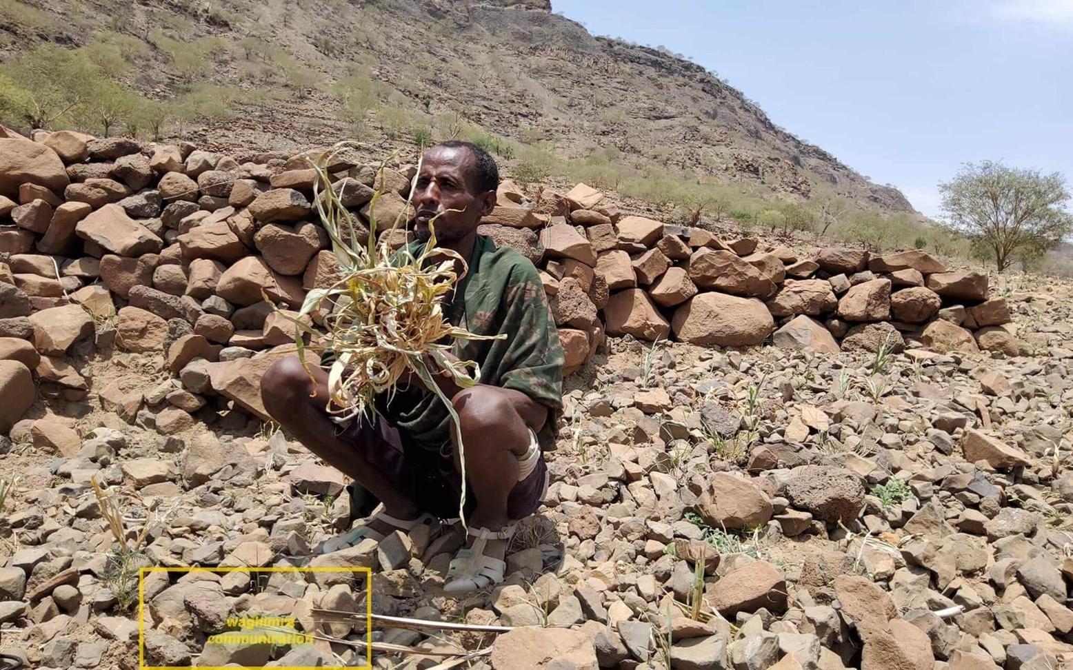 News: At least 18 people die of drought-related hunger in two districts in Wag Hemra zone, Amhara region News: At least 18 people die of drought-related hunger in two districts in Wag Hemra zone, Amhara region