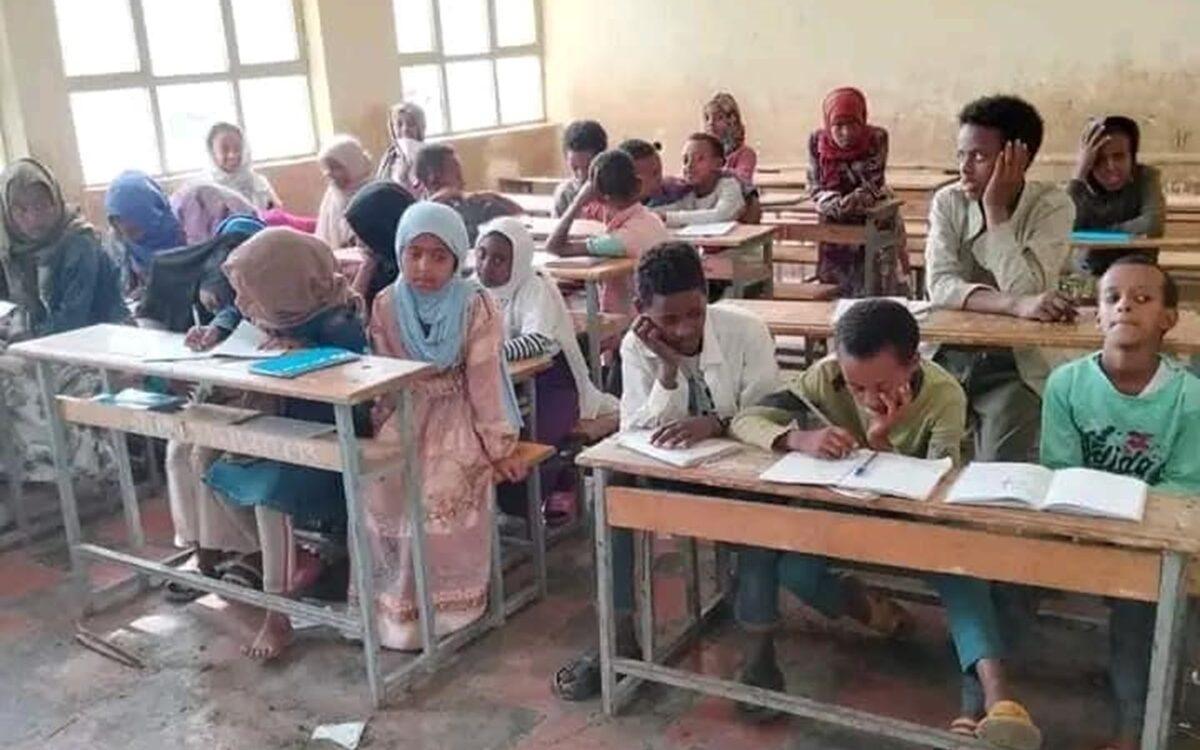 Shattered dreams: Conflict, drought threaten education of millions in Amhara region